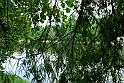 Parco Del Valentino_025